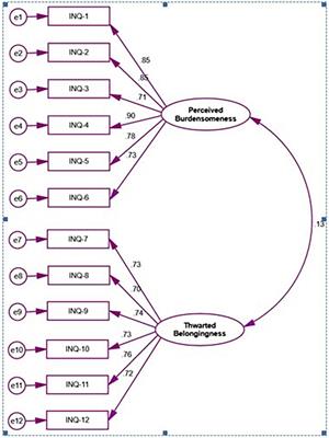 Thwarted belongingness, perceived burdensomeness, and acquired capability for suicide among university students of Bangladesh: Scales validation and status assessment